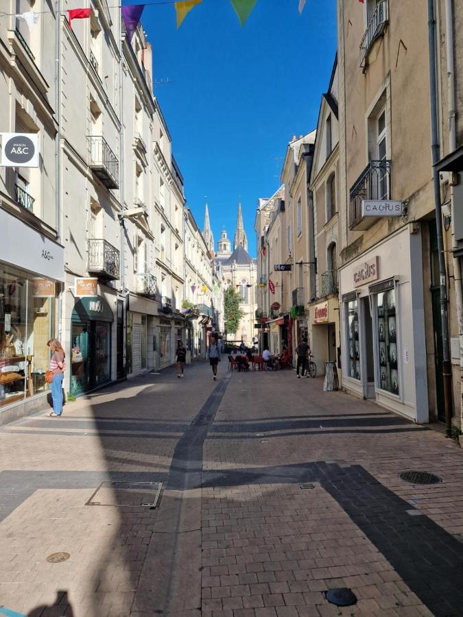 Le Nica Apartment Trélazé Exterior foto